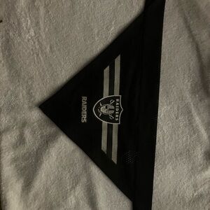 Small Dog scarf Raiders